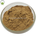 extrato de cogumelo cordyceps sinensis extrato de cordycep